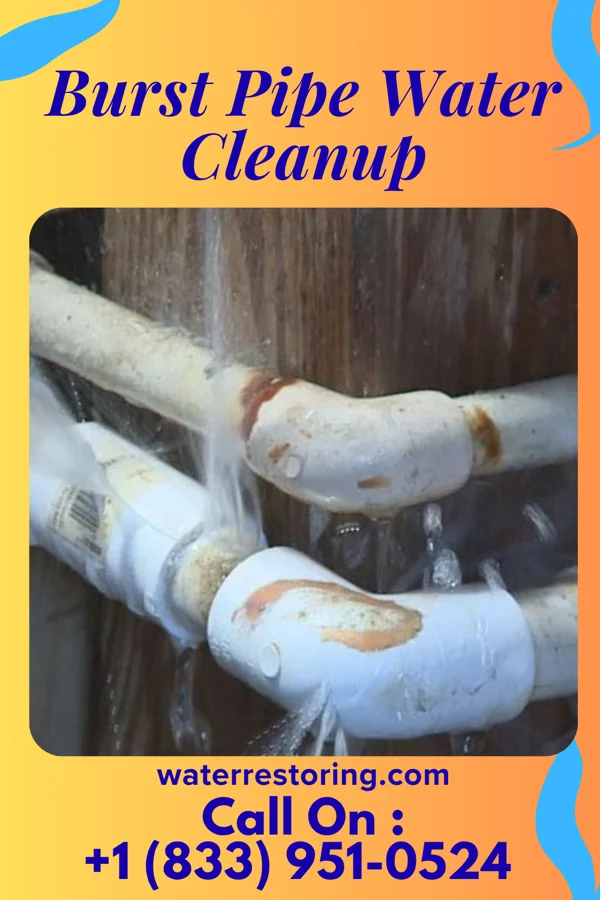 Burst Pipe Water Cleanup in Avoca, NE
