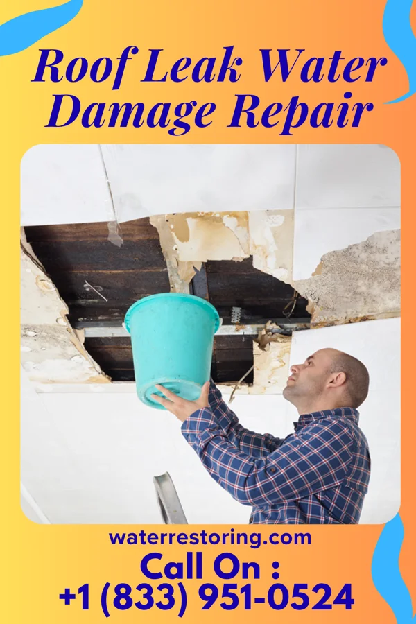 Roof Leak Water Damage Repair in Avoca, NE