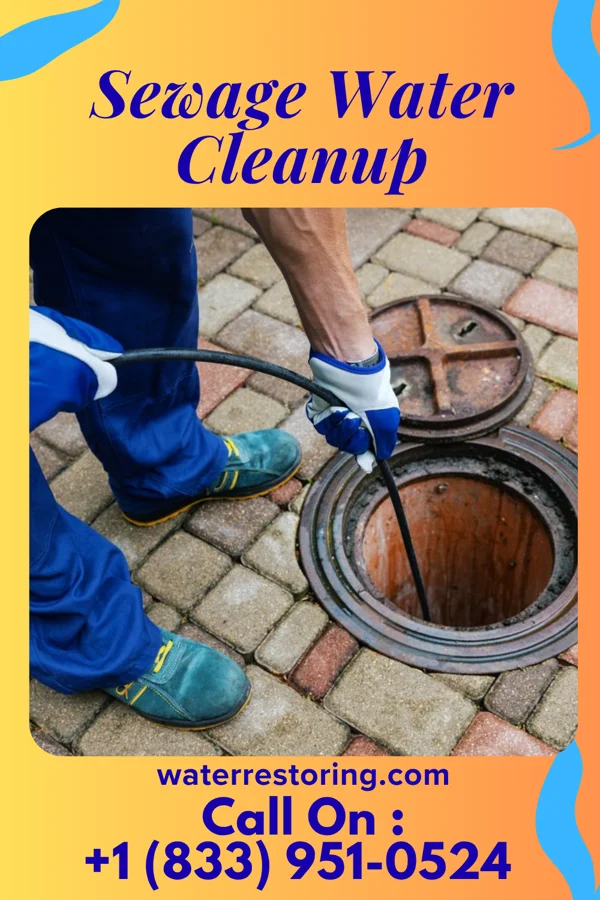 Sewage Water Cleanup in Avoca, NE