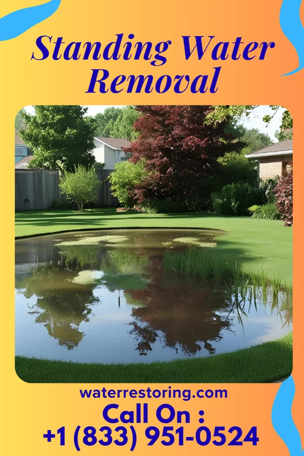 Standing Water Removal in Avoca, NE